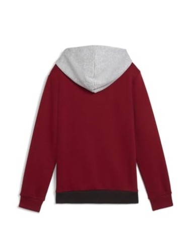 Sudadera PUMA ESS BLOCK Hoodie FL, Intense Red