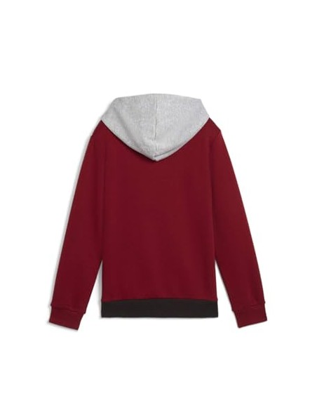 Sudadera PUMA ESS BLOCK Hoodie FL, Intense Red