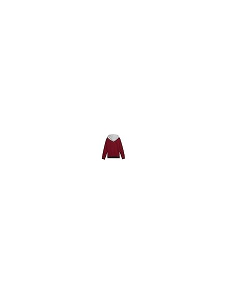 Sudadera PUMA ESS BLOCK Hoodie FL, Intense Red