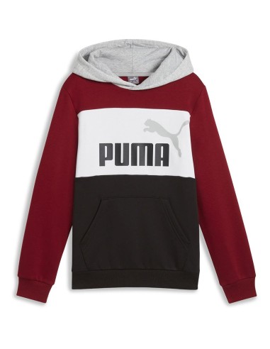 Sudadera PUMA ESS BLOCK Hoodie FL, Intense Red