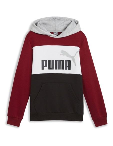Sudadera PUMA ESS BLOCK Hoodie FL, Intense Red