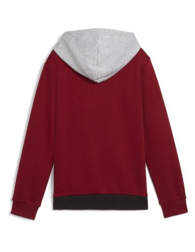 Sudadera PUMA ESS BLOCK Hoodie FL, Intense Red