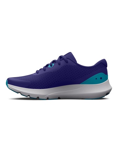 UA BGS SURGE 3