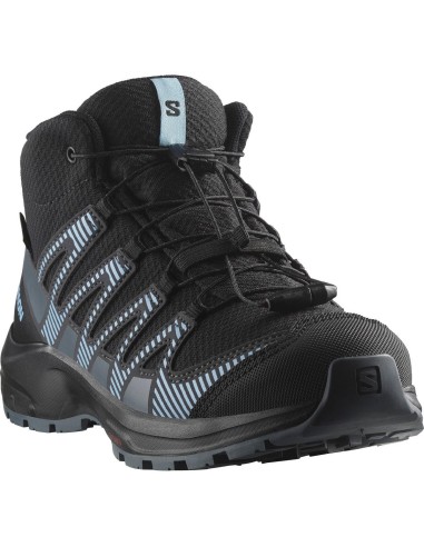 SALOMON SHOES XA PRO V8 MID CSWP J