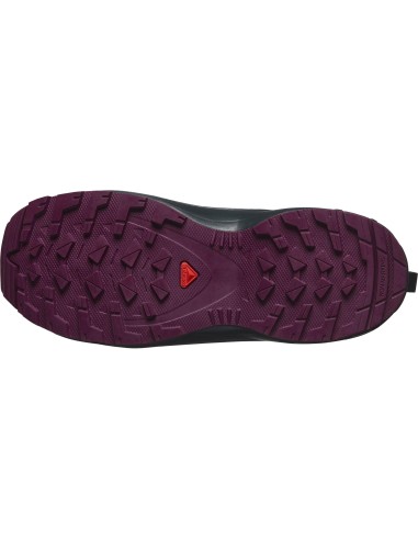 SALOMON SHOES XA PRO V8  CSWP J 47568100...