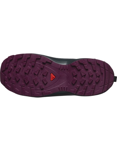 SALOMON SHOES XA PRO V8  CSWP J 47568100 NEPTUN/CARBON/PLU