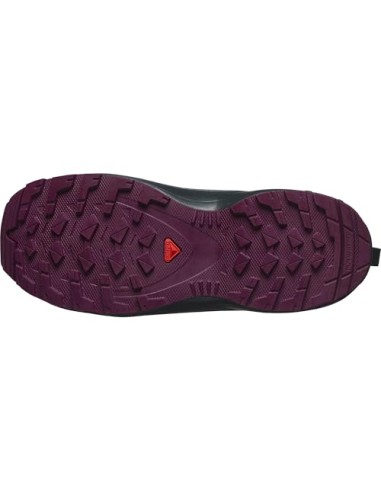 SALOMON SHOES XA PRO V8  CSWP J 47568100...