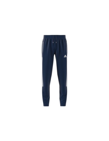 ADIDAS-Pant-TIRO21 TR PNT Y