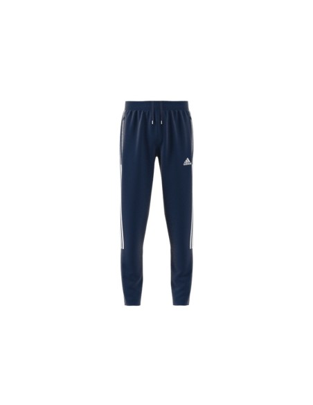 ADIDAS-Pant-TIRO21 TR PNT Y