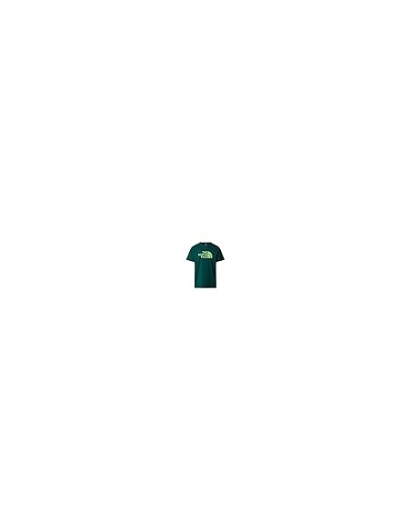 CAMISETA TNF MEN'S S/S EASY TEE