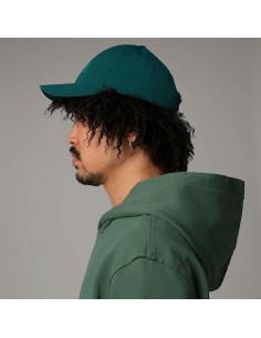 GORRA TNF RECYCLED 66 CLASSIC HAT - GREEN 2