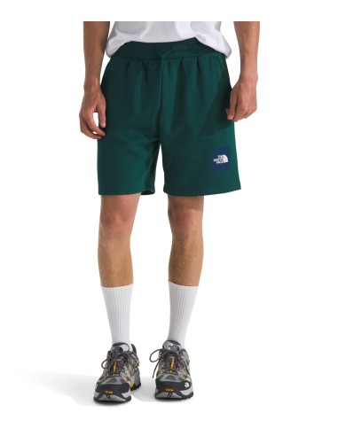 PANTALONES CORTOS TNF MEN'S BOX REGULAR SHORT -...