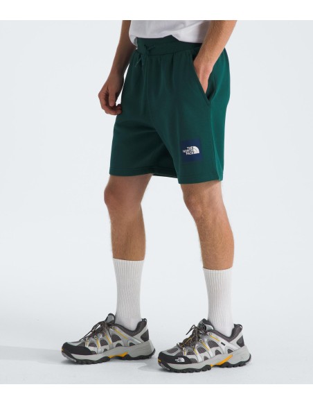 PANTALONES CORTOS TNF MEN'S BOX REGULAR SHORT - VERDE