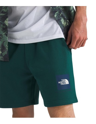 PANTALONES CORTOS TNF MEN'S BOX REGULAR SHORT -...