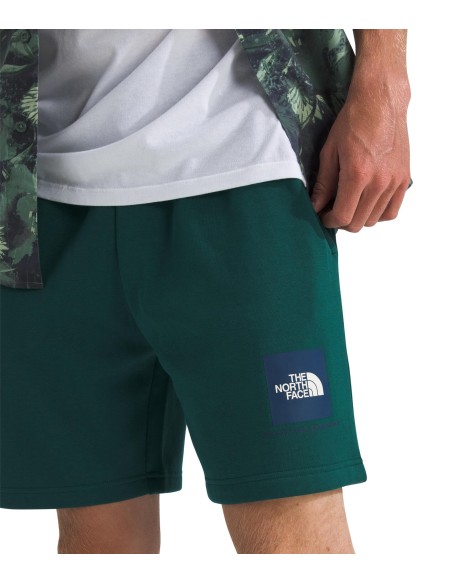 PANTALONES CORTOS TNF MEN'S BOX REGULAR SHORT - VERDE