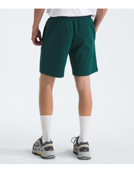 PANTALONES CORTOS TNF MEN'S BOX REGULAR SHORT - VERDE