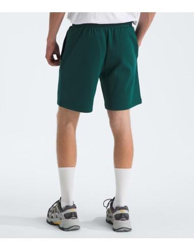 PANTALONES CORTOS TNF MEN'S BOX REGULAR SHORT -...