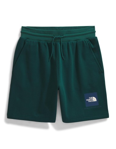 PANTALONES CORTOS TNF MEN'S BOX REGULAR SHORT -...