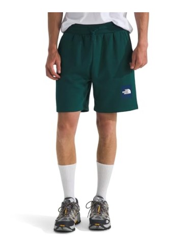 PANTALONES CORTOS TNF MEN'S BOX REGULAR SHORT -...