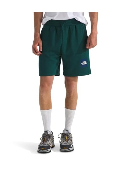 PANTALONES CORTOS TNF MEN'S BOX REGULAR SHORT - VERDE