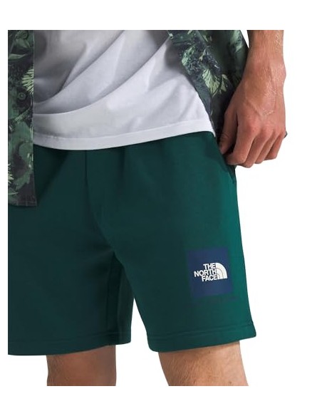 PANTALONES CORTOS TNF MEN'S BOX REGULAR SHORT - VERDE