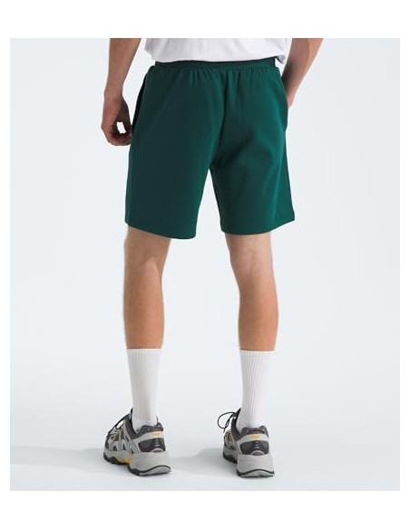 PANTALONES CORTOS TNF MEN'S BOX REGULAR SHORT - VERDE