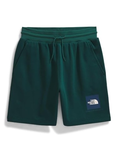 PANTALONES CORTOS TNF MEN'S BOX REGULAR SHORT -...