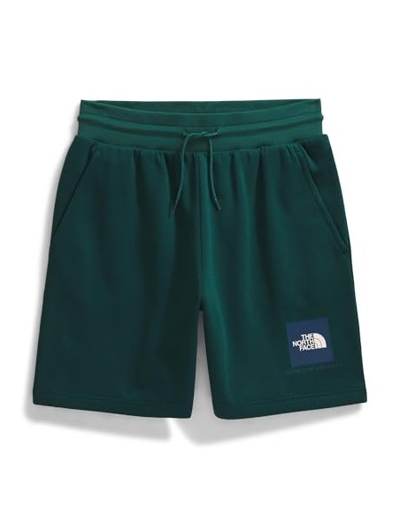 PANTALONES CORTOS TNF MEN'S BOX REGULAR SHORT - VERDE