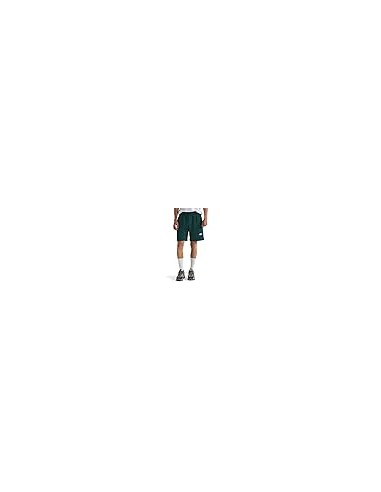 PANTALONES CORTOS TNF MEN'S BOX REGULAR SHORT -...