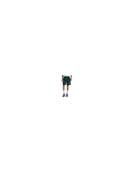 PANTALONES CORTOS TNF MEN'S BOX REGULAR SHORT - VERDE