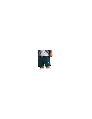 PANTALONES CORTOS TNF MEN'S BOX REGULAR SHORT -...
