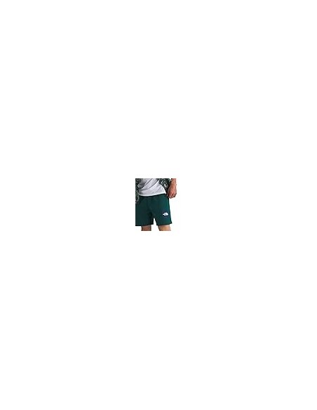 PANTALONES CORTOS TNF MEN'S BOX REGULAR SHORT - VERDE