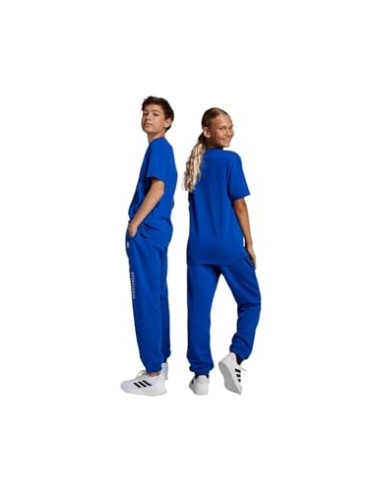 Pantalón de chándal Adidas-J ALLSZN GFX...