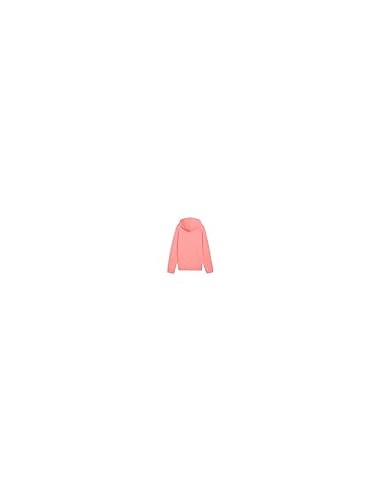 Sudadera PUMA ESS SCRIPT HOODIE SALMON