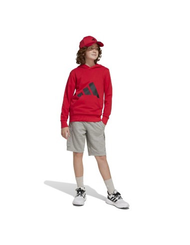 Sudadera Adidas-J BL FT HD 280-JE1389  ROJO...