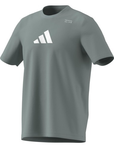 CAMISETA MANGA CORTA M TR CAT GT