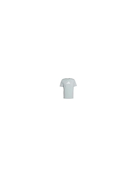 CAMISETA MANGA CORTA M TR CAT GT