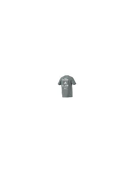 CAMISETA MANGA CORTA M TR CAT GT