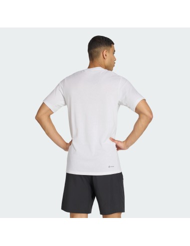 Camiseta ADIDAS-TR-ES FR T-IC7440-BLANCO-HOMBRE