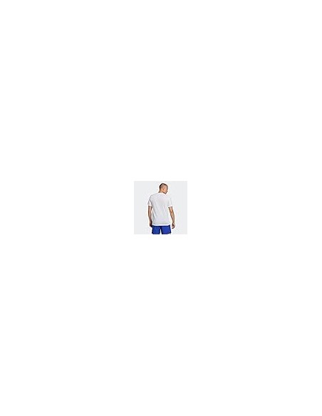 Camiseta ADIDAS-TR-ES FR T-IC7440-BLANCO-HOMBRE