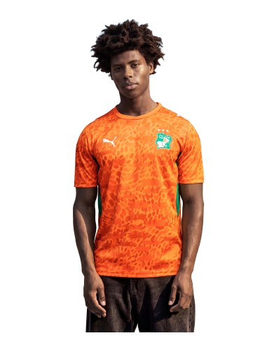 CAMISETA LOCAL COSTA DE MARFIL PUMA 2026