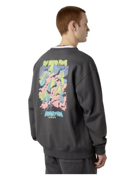 SUDADERA U EXPEDITION CELEBRATION TNFLIGHTG
