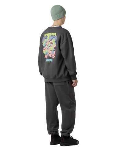 SUDADERA U EXPEDITION CELEBRATION TNFLIGHTG