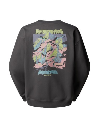 SUDADERA U EXPEDITION CELEBRATION TNFLIGHTG