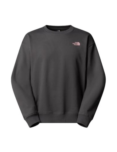 SUDADERA U EXPEDITION CELEBRATION TNFLIGHTG