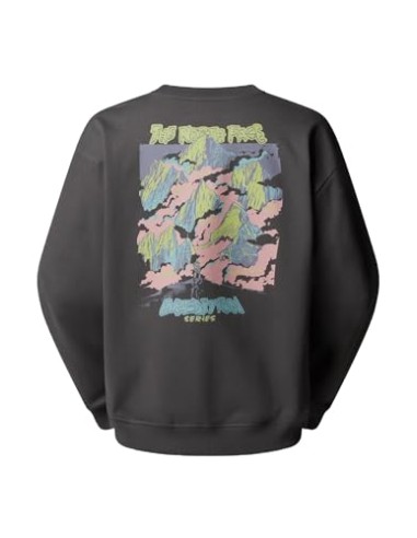 SUDADERA U EXPEDITION CELEBRATION TNFLIGHTG