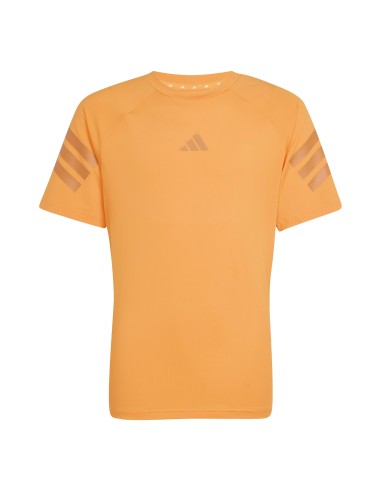 CAMISETA TÉCNICA
