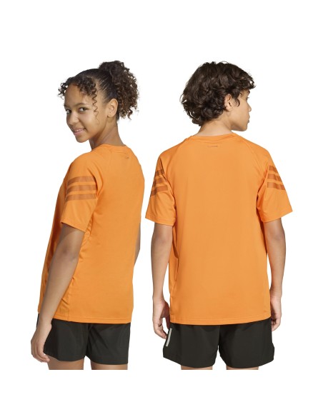 CAMISETA TÉCNICA