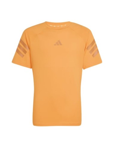 CAMISETA TÉCNICA
