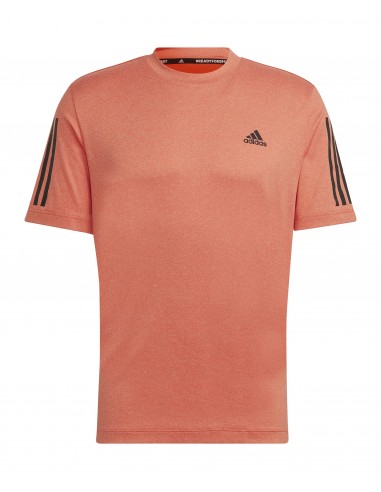 ADIDAS-T365 TEE SEIMOR